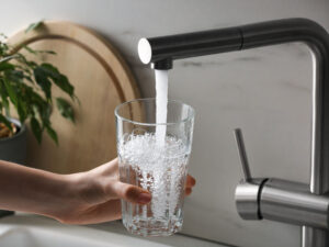 Alimlər içməli suyu səssizcə təmizləyən yeni növ mikroblar aşkar ediblər