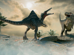 Elm adamları Konqoda insan dinozavrının “görüşmələrini” izah ediblər