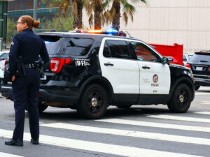 Weezer üzvünün həyat yoldaşı Los-Ancelesdə həbs edilib