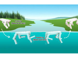 Alimlər üzməyi bacaran robot iti nümayiş etdiriblər