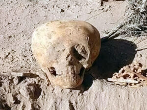 Argentinada tapılan kəllə alimləri çaşdırıb