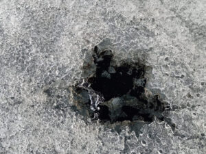 Ekoloq Baykal gölündə neft dağılmalarını yeyən bakteriyalardan danışır