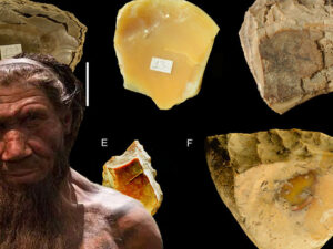 Neandertallar daş alətlər hazırlamaq ustalığı ilə alimləri heyrətə gətiriblər