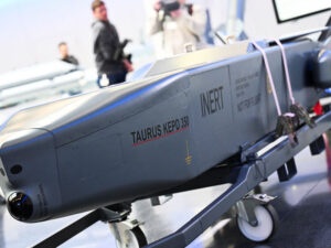 Almaniya Buğa bürcünü Ukraynaya yardım göstərməməsinin simvolu adlandırıb