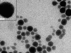 Xərçəng peyvəndlərinin təhlükəsizliyini artırmaq üçün bir yol tapıldı