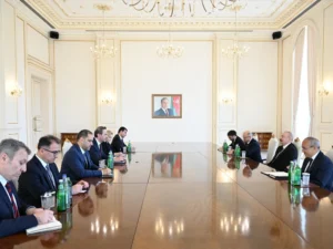 İlham Əliyev Türkiyənin energetika və təbii sərvətlər nazirini qəbul edib