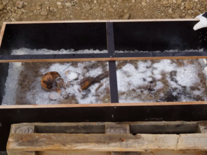 Arxeoloqlar Almaniyada “Buz Şahzadəsi”nin 1300 illik dəfninin sirrini açıblar