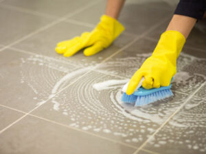 Allergiyaya səbəb ola biləcək altı növ kif adlandırılıb