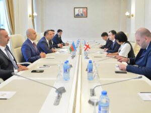 Milli Məclisin Gənclər və idman komitəsində Gürcüstan parlamentariləri ilə görüş keçirilib