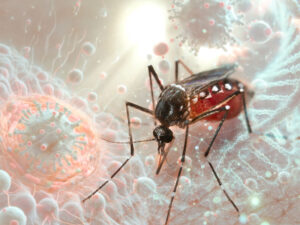 İtaliyada Afrikadan gələn təhlükəli xəstəlik aşkarlanıb