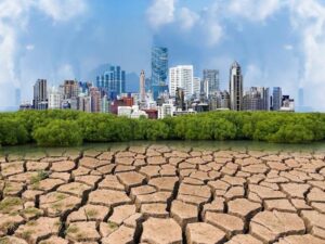 İqlim dəyişikliyi sahəsində terminoloji lüğət hazırlanır