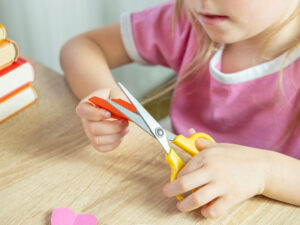 Ruslar yeniyetmələr və uşaqlar arasında təhlükəli tendensiya barədə xəbərdarlıq ediblər