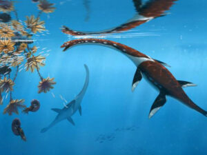 Almaniyada 183 milyon illik qədim dəniz kərtənkələ skeleti tapıldı