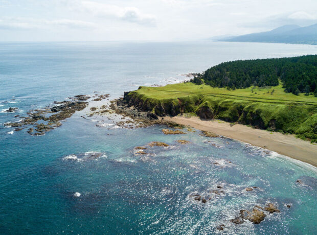 Nəhəng dəniz canlısı Böyük Britaniyanın çimərliklərində tapılıb Nəhəng dəniz canlısı Böyük Britaniyanın çimərliklərində tapılıb