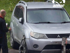 Bir dəstə it “Mitsubishi” markalı krossoveri çeynəyib