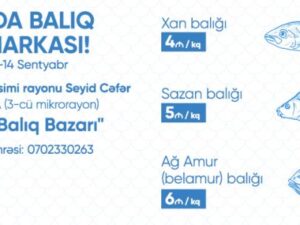 Sabahdan Bakıda balıq yarmarkası fəaliyyətə başlayır
