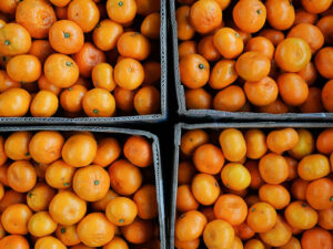 Həkim naringi qabığının gizli təhlükələri barədə xəbərdarlıq etdi Həkim naringi qabığının gizli təhlükələri barədə xəbərdarlıq etdi