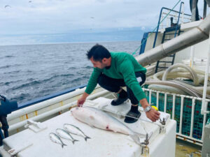 Balıqçılıqla bağlı hesabat Nazirlər Kabinetinə təqdim ediləcək