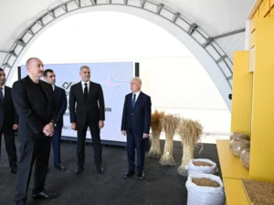 İmişlidə “Promalt” MMC-nin arpa emalı müəssisəsi istifadəyə verilib İmişlidə “Promalt” MMC-nin arpa emalı müəssisəsi istifadəyə verilib