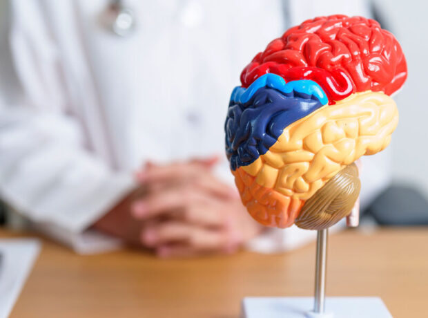 Beynin qocalmasını yavaşlatmağın sadə yolu müəyyən edilib Beynin qocalmasını yavaşlatmağın sadə yolu müəyyən edilib