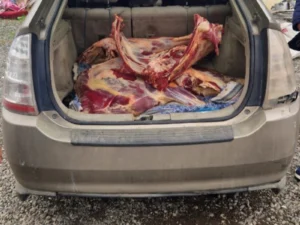 Ağdamda avtomobildən istehlaka yararsız 92 kiloqram ət aşkarlandı