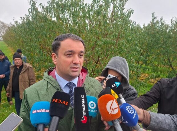 Azərbaycanda aqrar sığorta mexanizmi quraqlıq hadisəsini də əhatə edəcək Azərbaycanda aqrar sığorta mexanizmi quraqlıq hadisəsini də əhatə edəcək