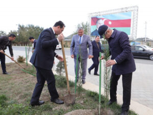 Neftçalada Zəfər Gününə həsr olunmuş silsilə tədbirlər keçirilir Neftçalada Zəfər Gününə həsr olunmuş silsilə tədbirlər keçirilir