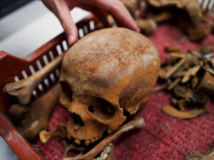 Macarıstan mütəxəssisləri 1500 ildən çox yerdə qalan sarkofaqı açıblar Macarıstan mütəxəssisləri 1500 ildən çox yerdə qalan sarkofaqı açıblar