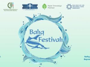 Neftçalada Balıq Festivalı keçiriləcək Neftçalada Balıq Festivalı keçiriləcək
