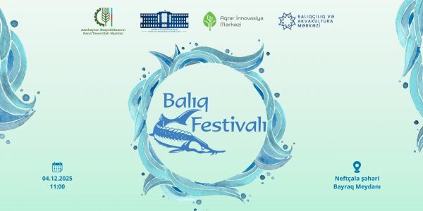 Neftçalada Balıq Festivalı keçiriləcək Neftçalada Balıq Festivalı keçiriləcək