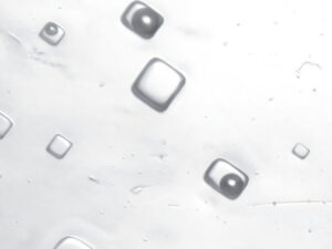 1,4 milyard illik Yer kürəsinin “havası” duz kristallarında tapılıb