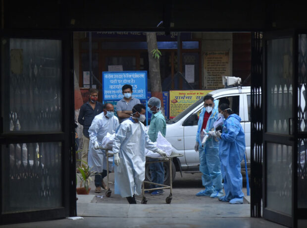 Moskva Dövlət Universiteti hansı heyvanların Nipah virusunu daşıdığını açıqladı Moskva Dövlət Universiteti hansı heyvanların Nipah virusunu daşıdığını açıqladı