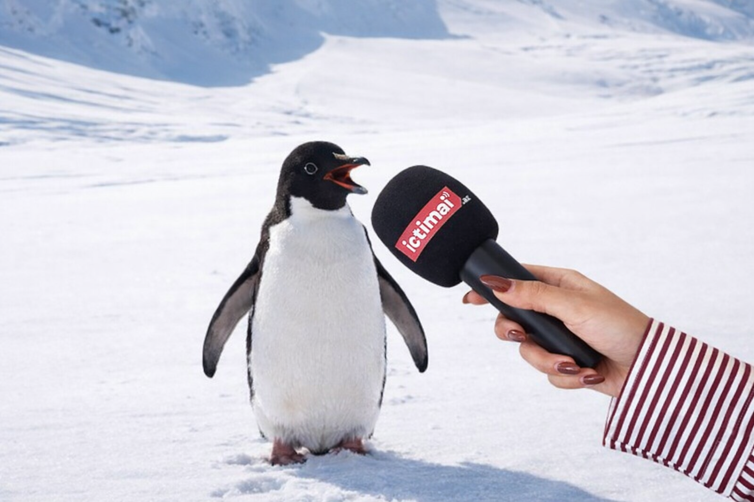 Səssiz addımlar, dərin mesajlar: Dünyada yeni trend Səssiz addımlar, dərin mesajlar: Dünyada yeni trend