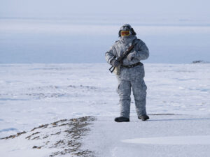 Finlərdən hərbi təlimlər zamanı Amerika ordusunu “əzilməmələri” xahiş edild