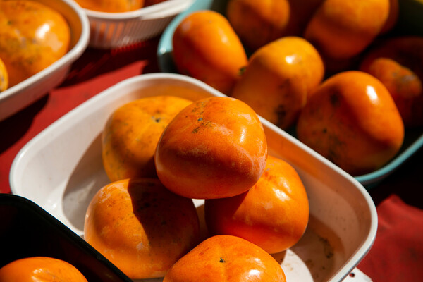 Xurmanın bağırsaq sağlamlığını yaxşılaşdırdığı aşkar edilmişdir Xurmanın bağırsaq sağlamlığını yaxşılaşdırdığı aşkar edilmişdir