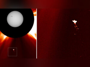 Astronomlar sirli bir “günəş quşu” aşkar ediblər