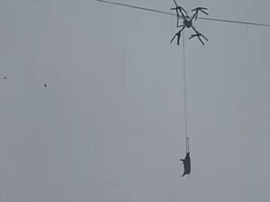 Fermer dronla donuzu daşımağa çalışaraq kəndi elektriksiz qoyub