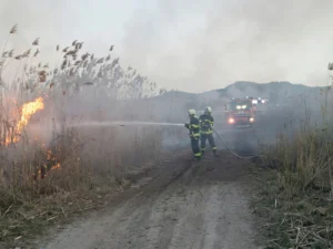 Cocuq Mərcanlı kəndi yaxınlığında yanğın baş verib