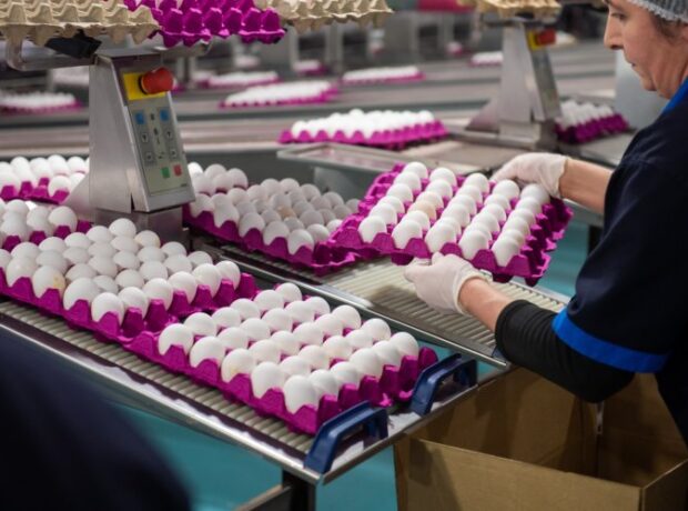 Hacıqabul Quşçuluq Şirkəti tərəfindən aztəminatlı ailələrə bayram sovqatı verilib Hacıqabul Quşçuluq Şirkəti tərəfindən aztəminatlı ailələrə bayram sovqatı verilib