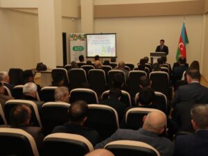 Neftçalada Bədən Tərbiyəsi və İdman Günü qeyd olunub