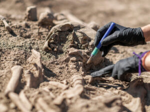 Efiopiyada qədim insan həyatının unikal sübutları aşkar edilib