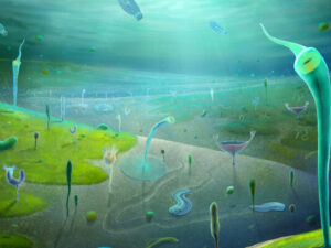 Çində alimlərin yeni kəşfi canlıların təkamülü haqqında anlayışımızı inqilabi şəkildə dəyişdirdi Çində alimlərin yeni kəşfi canlıların təkamülü haqqında anlayışımızı inqilabi şəkildə dəyişdirdi