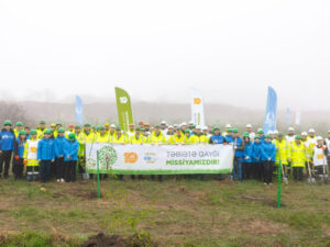 Daşkəsəndə silsilə ağacəkmə aksiyaları keçirildi