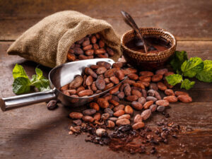 Alimlər kakao tozunun görmə itkisini yavaşlada biləcəyini aşkar ediblər