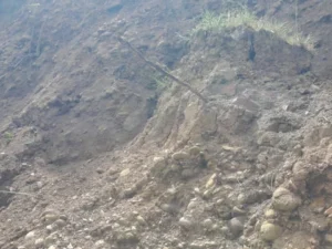 Lənkəranda torpaq sürüşüməsi oldu